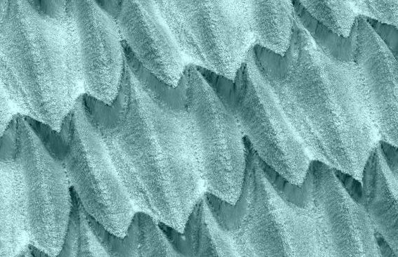 ecaille-de-requin-colorisees-1